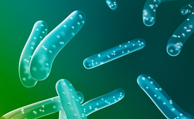 How to Treat Probiotics?