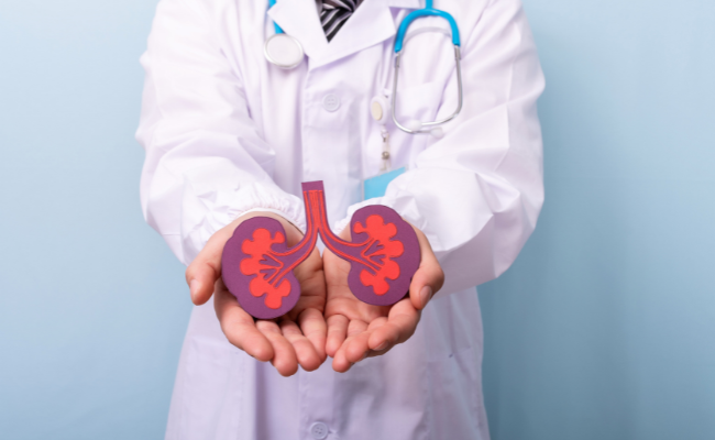 Know about Kidney Transplant