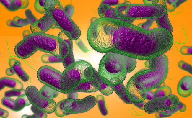 How to Treat Cholera?