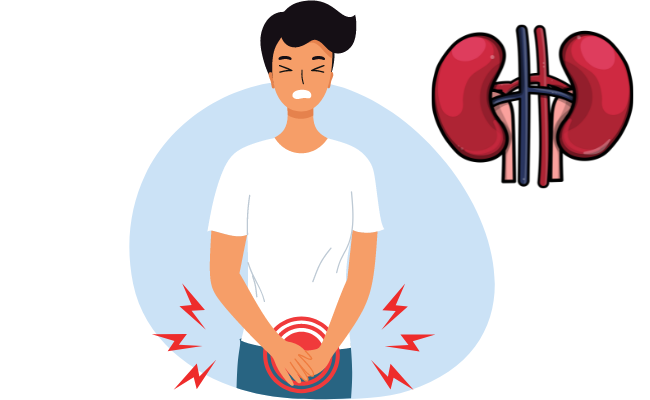How to Treat Autosomal Dominant Polycystic Kidney Disease?