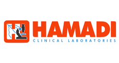 Hamadi Lab